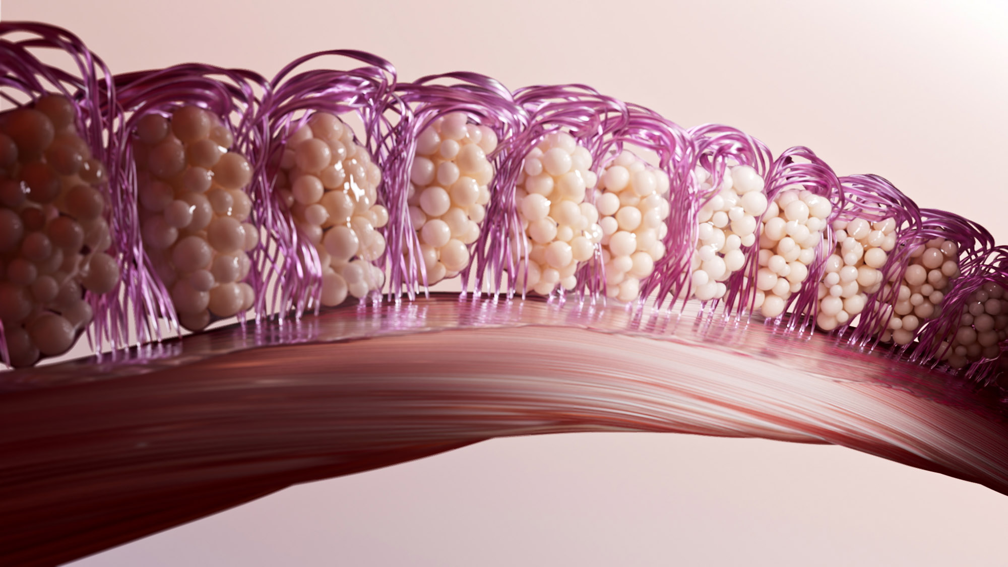Tissue Mechanisation